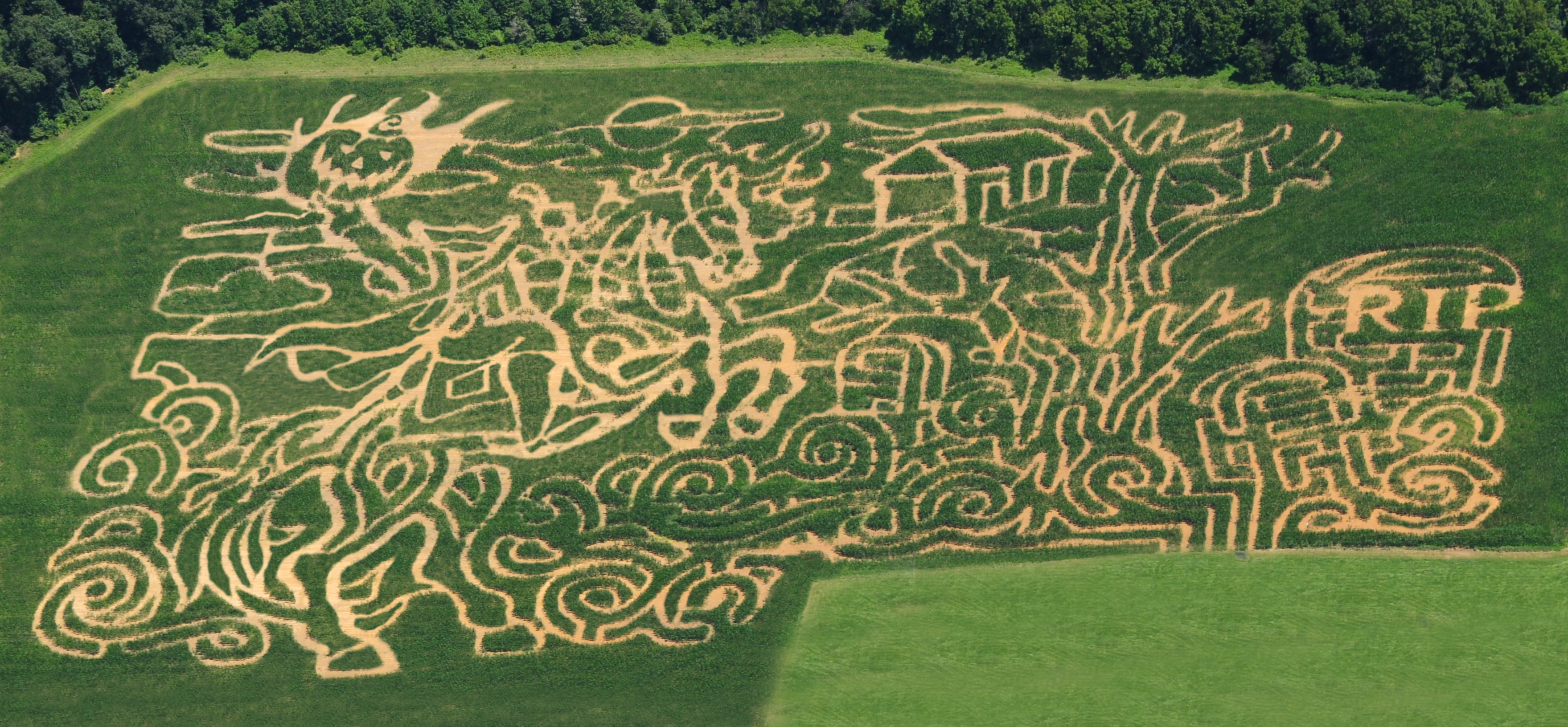 Wilcox Farms Corn Maze …