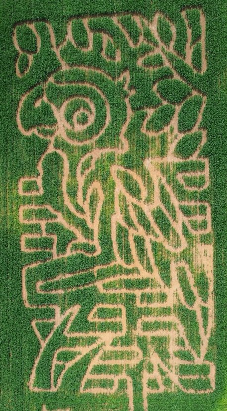 Kids Corn Maze & Play Area ...
