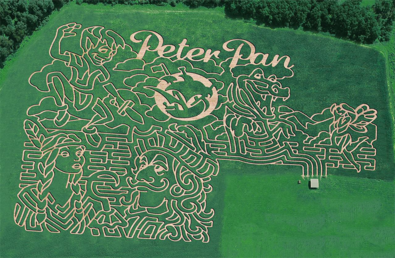 Wilcox Farms Corn Maze …