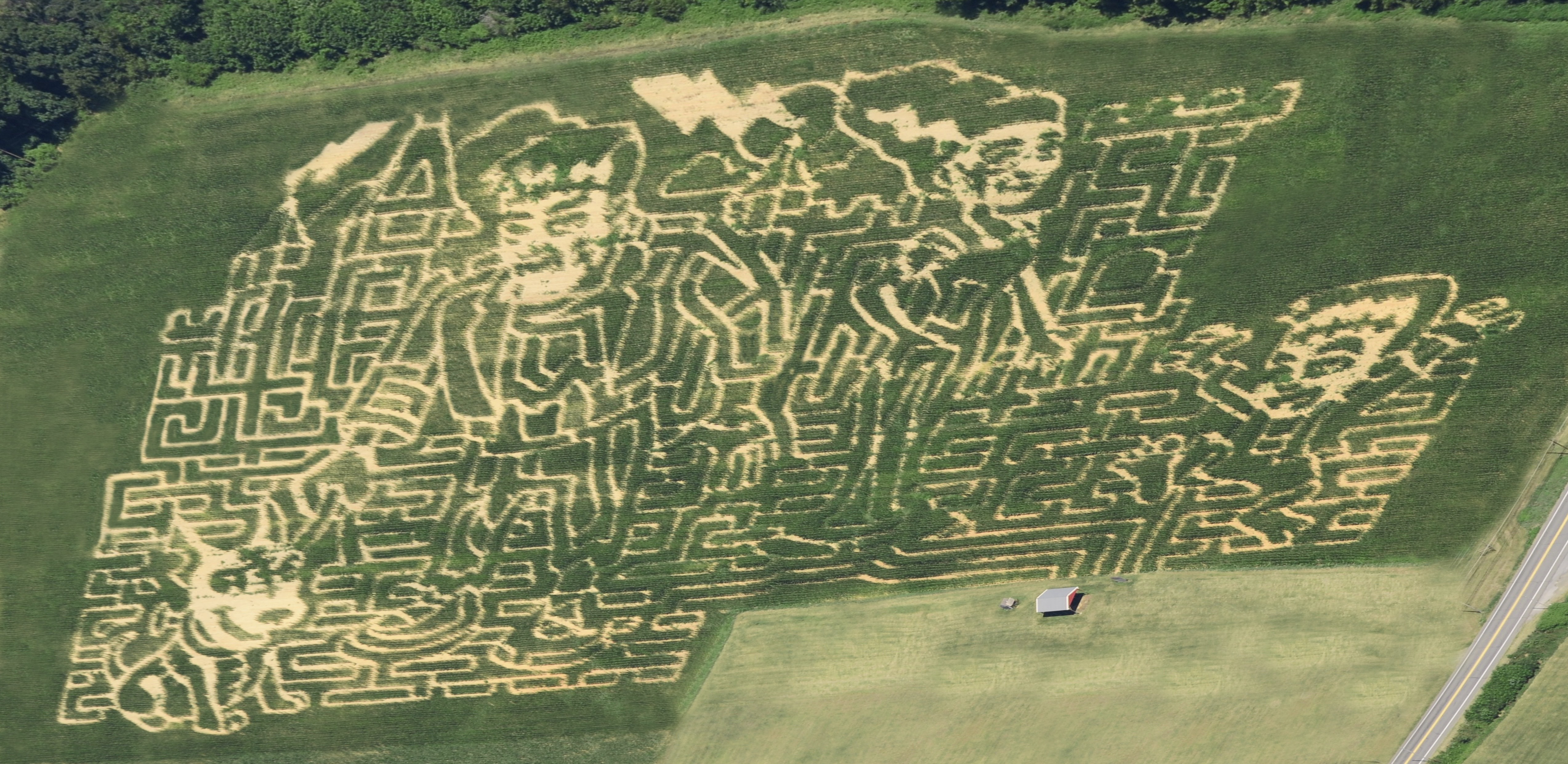 WILCOX FARMS CORN MAZE ...