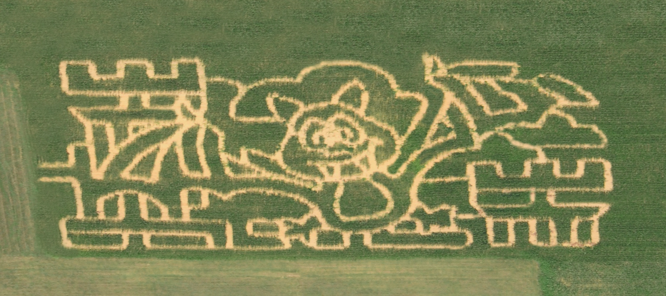 Kids Corn Maze & Play Area ...