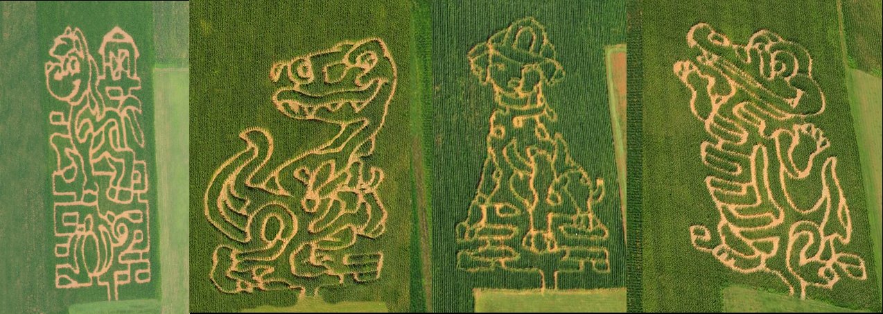 WILCOX FARMS KID'S CORN MAZE